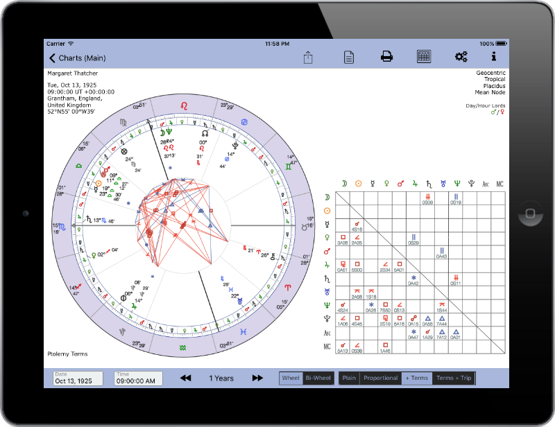 Full landscape. Chart with terms