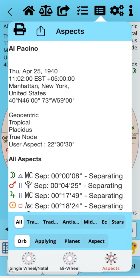 iPhone Speculum Aspects